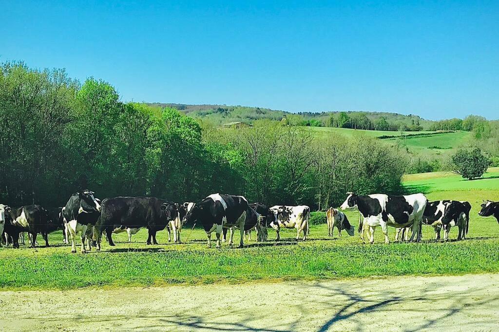 « Le Vieux Hangar » Gite A La Ferme Le Buisson-de-Cadouin Exterior foto